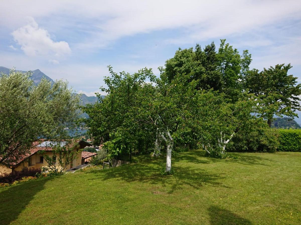 Villa Primula Bellagio Eksteriør billede