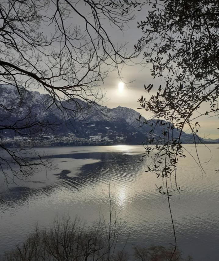 Villa Primula Bellagio Eksteriør billede